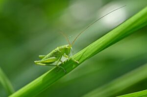 生命保険はいつ見直すべきか？