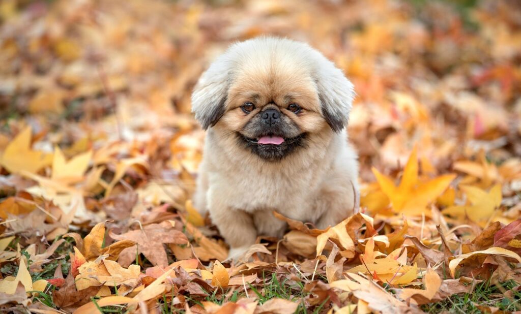 学資保険の受取年齢はいつがいいのか徹底解説しますか？