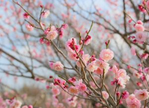 FP相談で失敗しないためのコツは？