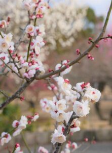 FP相談のメリットとデメリットを知っておくべき理由は？