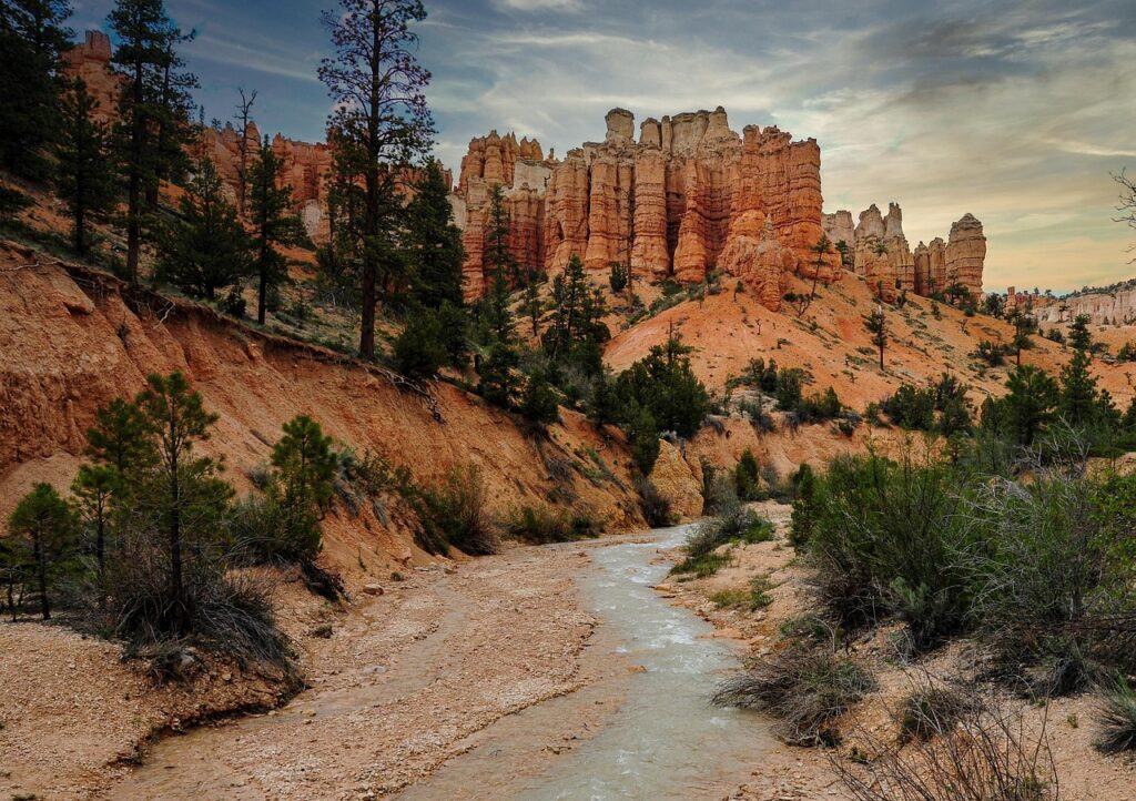 学資保険と投資信託、どちらが子供の教育資金に適している？